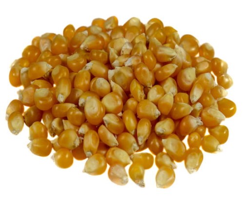 Kukurydza ziarno na popcorn 500g - jedzpij